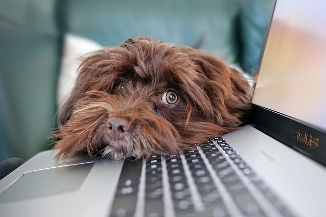 Kan computerhulp aan huis stress verminderen?